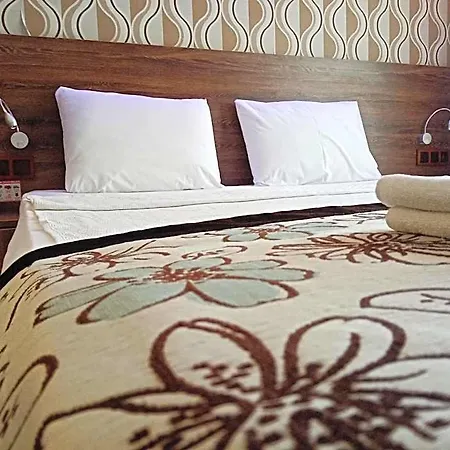 Dolphin Hotel 3*